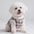 Plaid Fleece Pullover Dog Jacket - A Warm and Stylish Winter Jacket