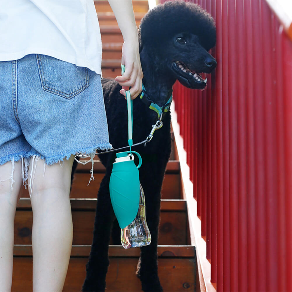 Dispensador de agua portátil para viajes al aire libre con forma de hoja, botella de agua para perros