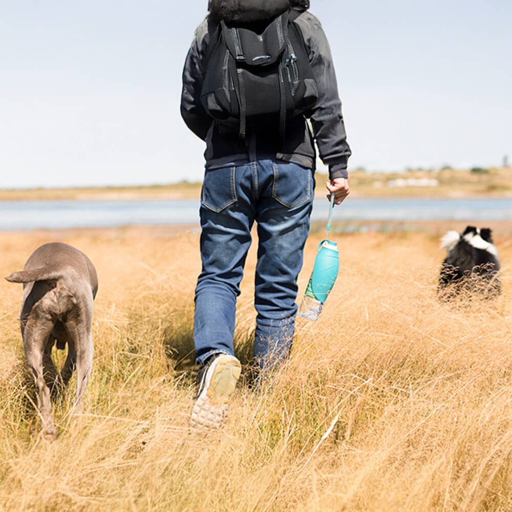 Dispensador de agua portátil para viajes al aire libre con forma de hoja, botella de agua para perros