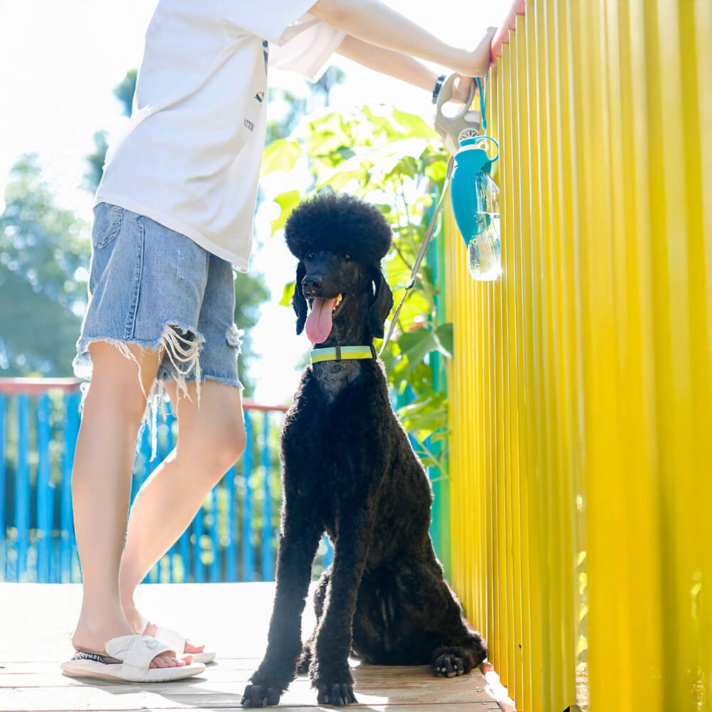 Dispensador de agua portátil para viajes al aire libre con forma de hoja, botella de agua para perros