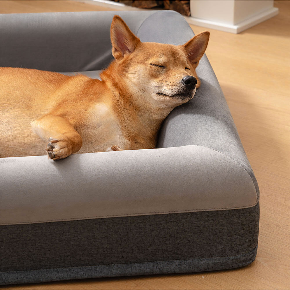 Cama ortopédica premium para perros Sueño maravilloso con cama de excavación de juego alegre