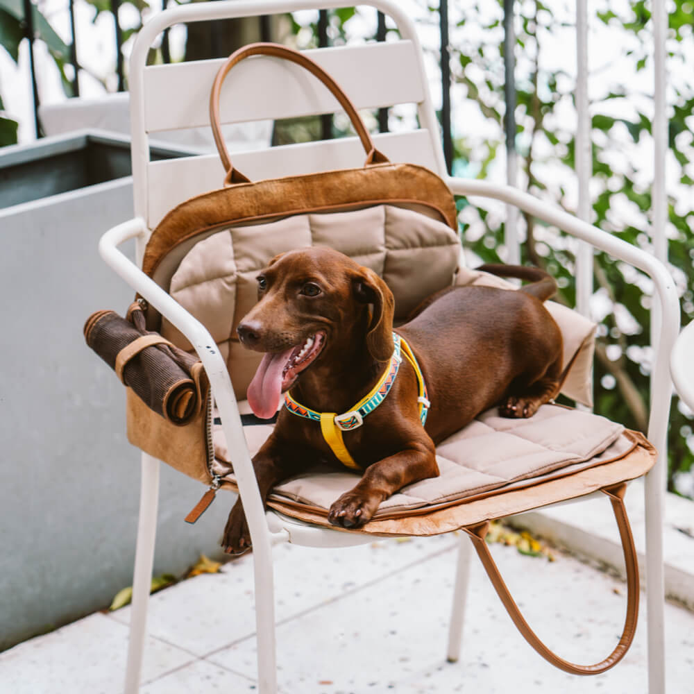 Kit de inicio para cachorros: kit de viaje para mascotas al aire libre