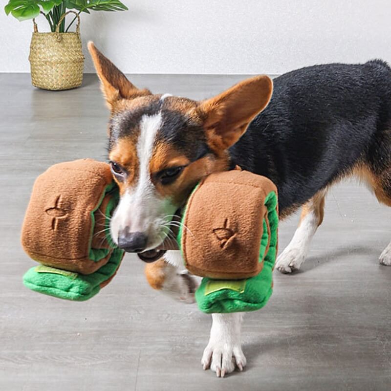 Puzzle Dispensador de comida Juguete interactivo para tratar con mancuernas para perros