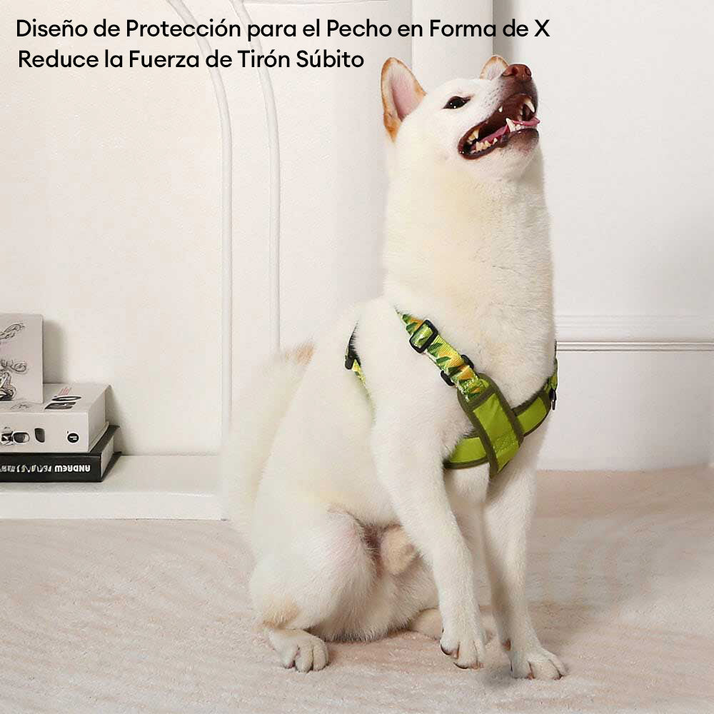 Kit de arnés y correa para perros ajustables y duraderos en forma de X