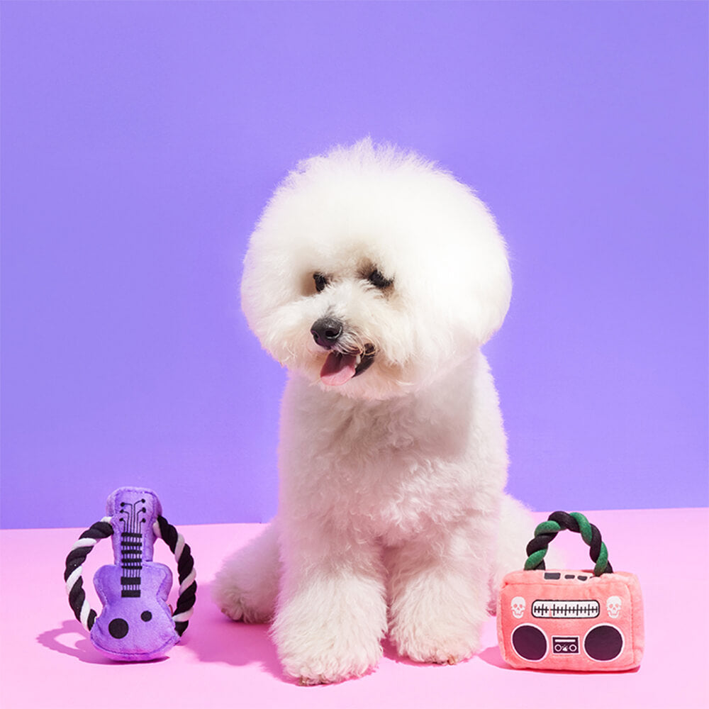 Juguete para perros de peluche guitarra boombox Rockstar