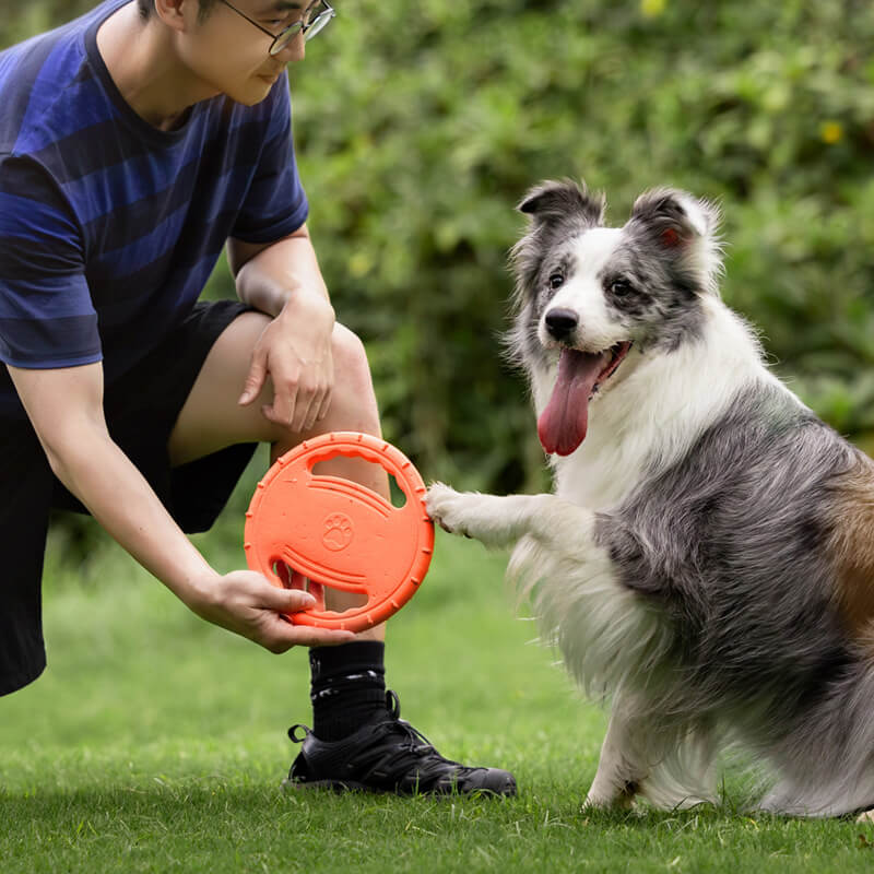 Volante de juguete de goma, disco volador interactivo para perros