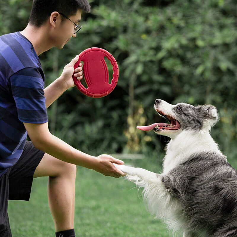 Volante de juguete de goma, disco volador interactivo para perros