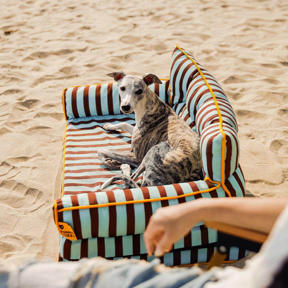 Cama de sofá de perros plegable de perros plegable impermeable de rayas - siesta soleada