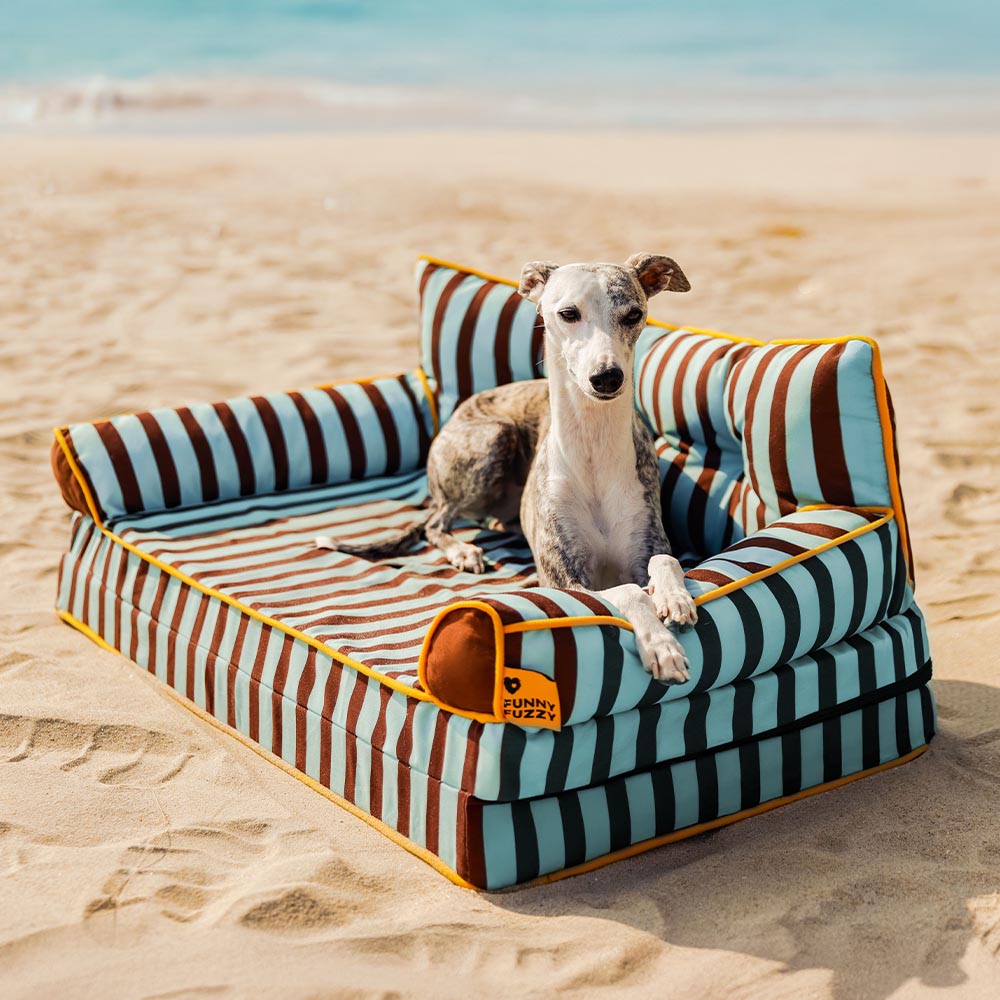 Cama de sofá de perros plegable de perros plegable impermeable de rayas - siesta soleada