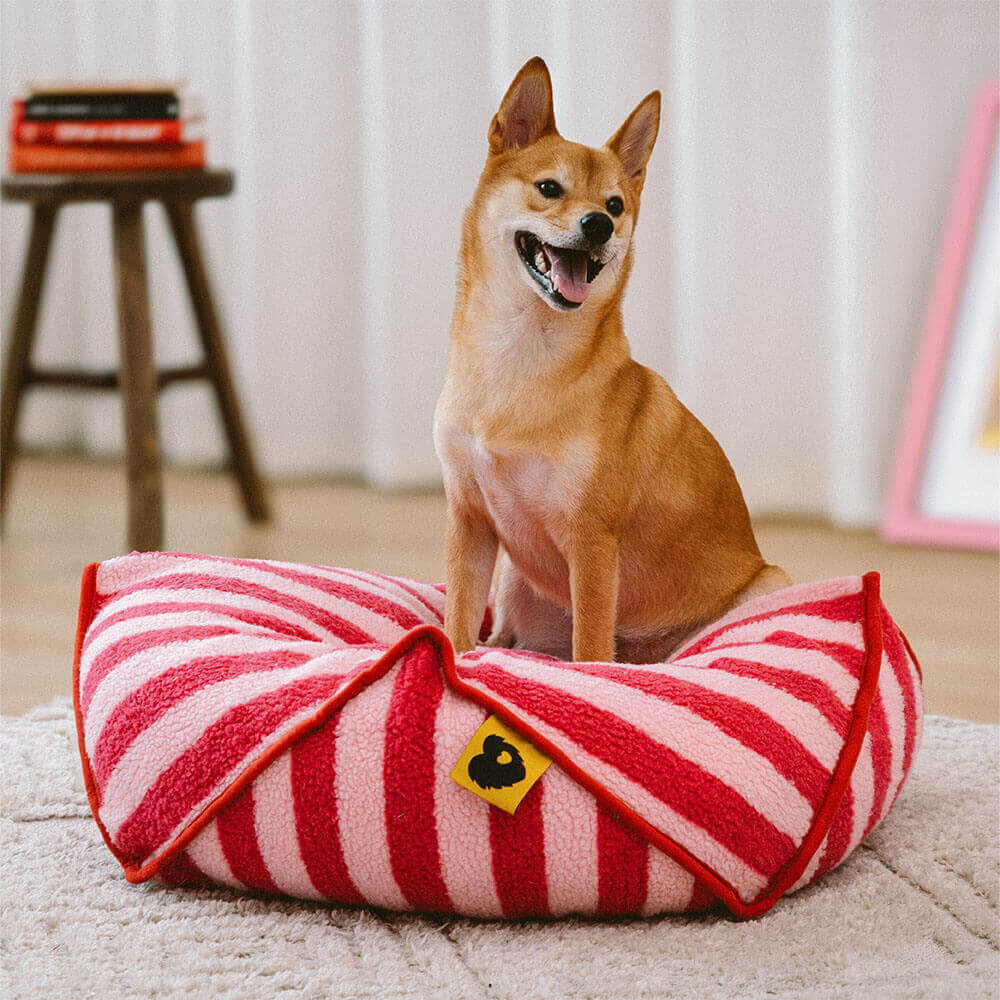 Silla poligonal con puf para mascotas con patrón de rayas de moda