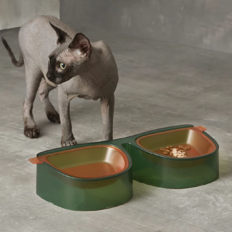 Tazón doble con separación de artículos secos y húmedos para gafas de sol y tazón para mascotas