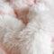 Super Soft Faux Rabbit Plush Mattress Protector Fitted Sheet