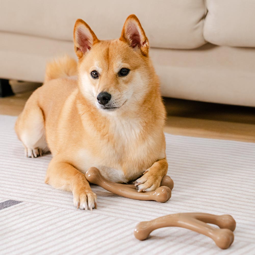 Juguete mordedor para perros en forma de hueso para la dentición - Sabor a Tocino