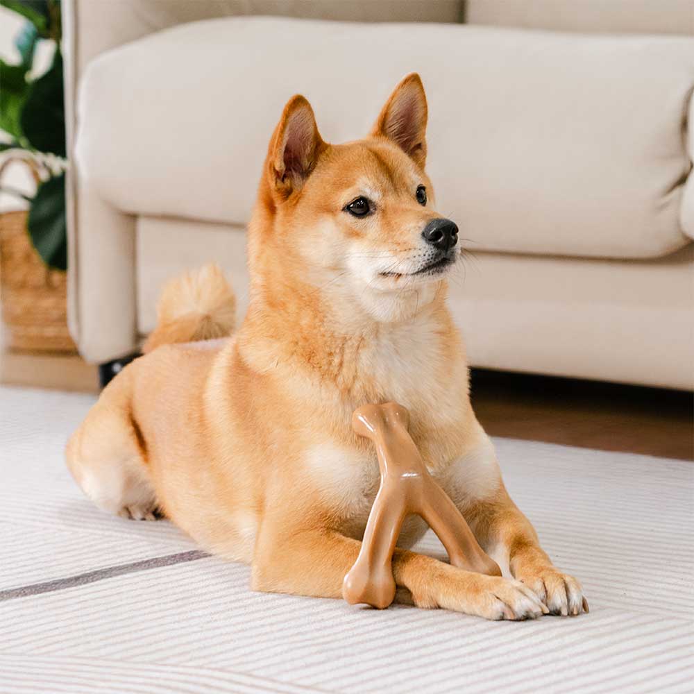 Juguete mordedor para perros en forma de hueso para la dentición - Sabor a Tocino