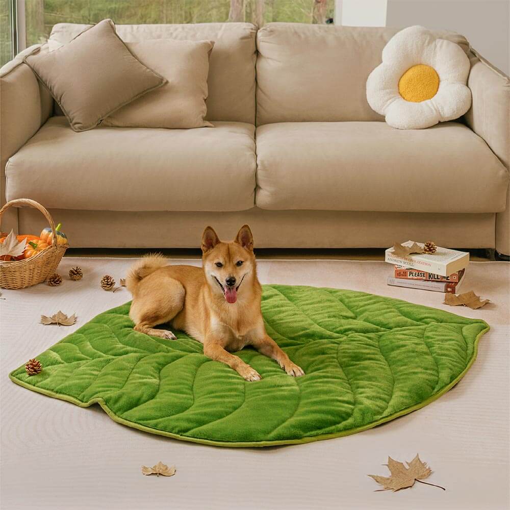 Alfombrilla lavable para perros con forma de hoja de peluche - The Leaf Collector