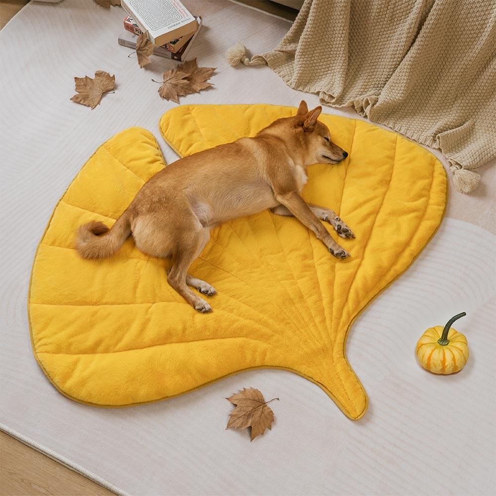 Alfombrilla lavable para perros con forma de hoja de peluche - The Leaf Collector