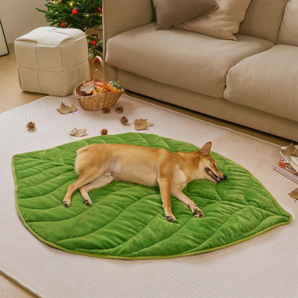 Alfombrilla lavable para perros con forma de hoja de peluche - The Leaf Collector