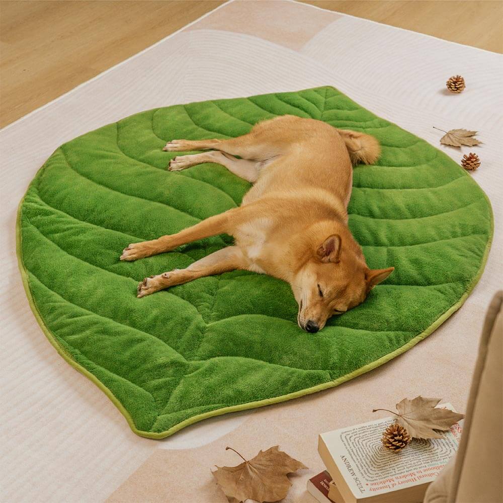 Alfombrilla lavable para perros con forma de hoja de peluche - The Leaf Collector