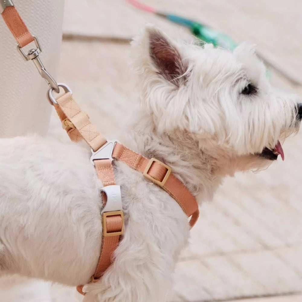 Arnés y correa para perros ergonómicos, ajustables y con diseño de bloques de colores de moda