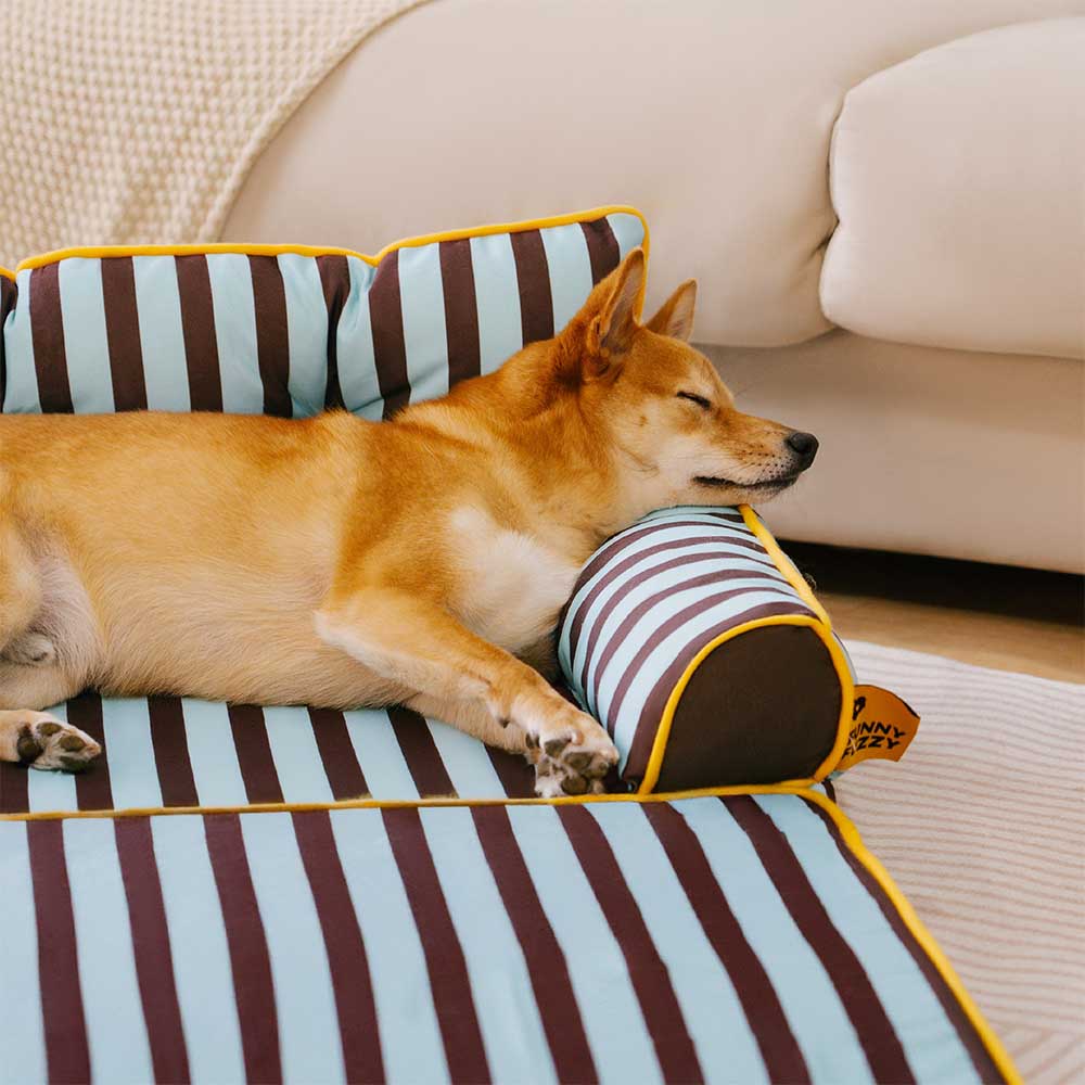 Sofá cama plegable para perros con diseño moderno, repelente al agua y con rayas - Sunny Siesta