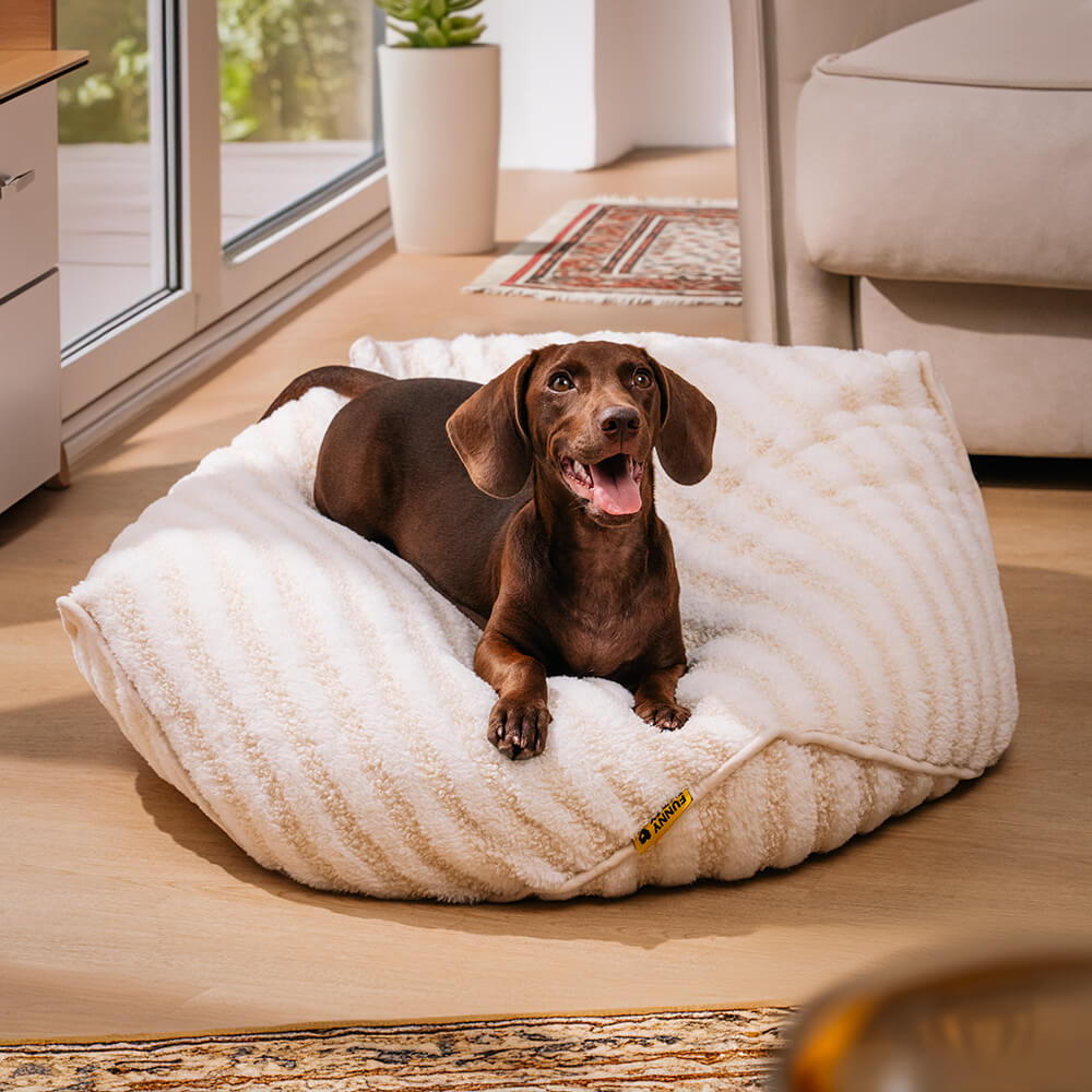 Silla poligonal con puf para mascotas con patrón de rayas de moda