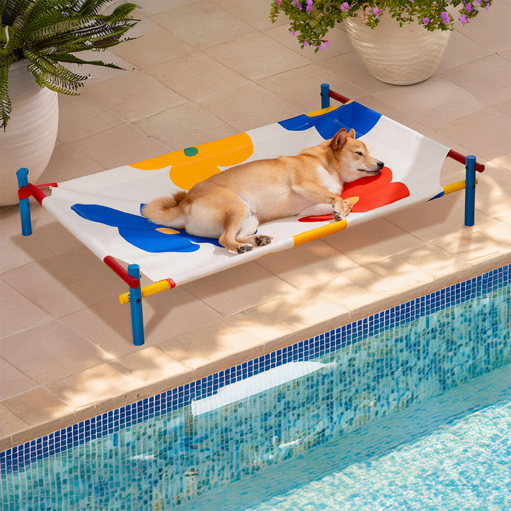 Cama elevada para perros de aluminio con estampado vibrante de verano - Summer Paradise