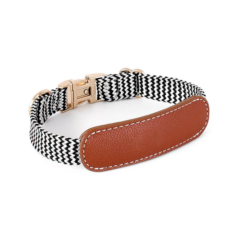 Conjunto para pasear perros con collar para perros con protector de cuello y estampado de cebra Vogue