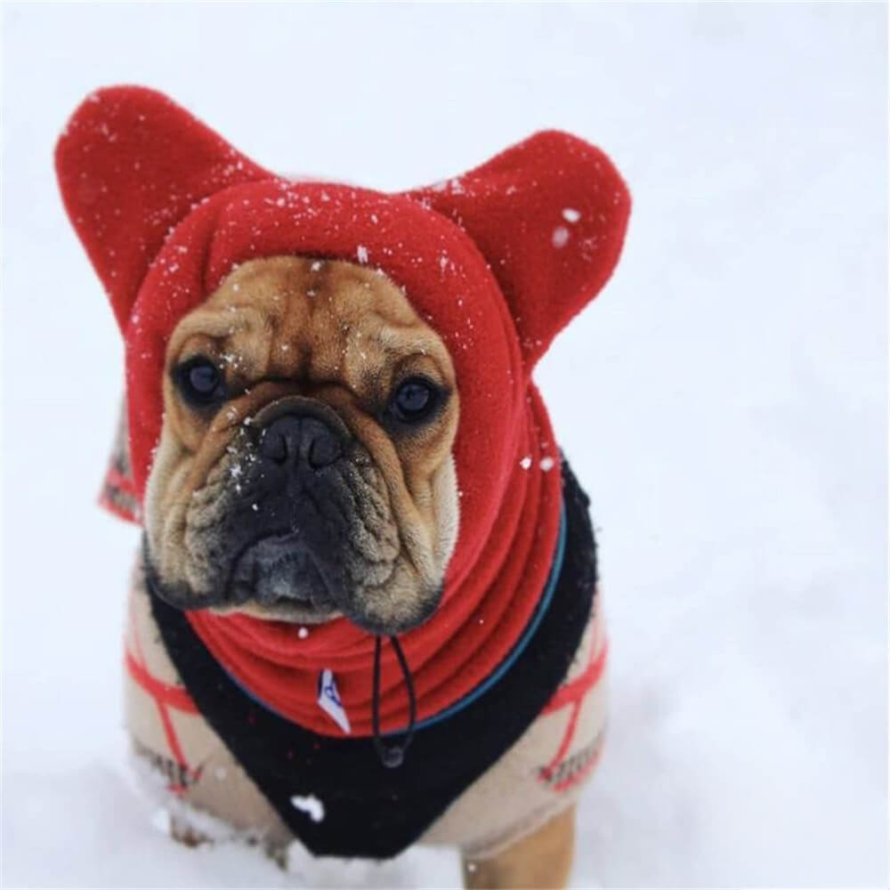 Capucha polar para perros con orejas de oso: un gorro de invierno divertido y acogedor