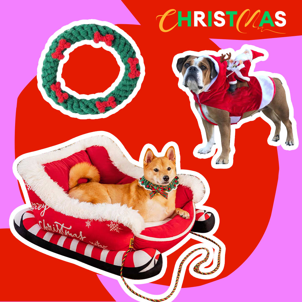 Paquete de Cama festiva y acogedora para perros: trineo navideño-3pzas