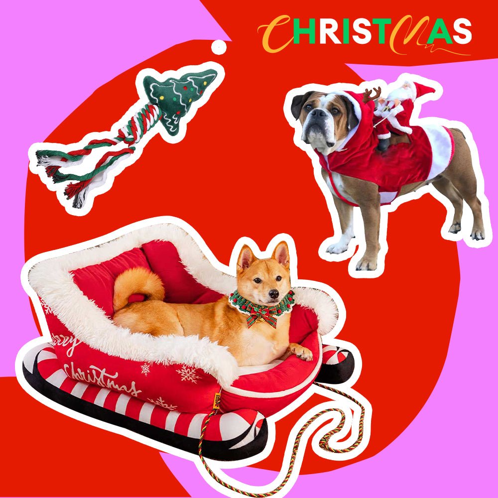 Paquete de Cama festiva y acogedora para perros: trineo navideño-3pzas