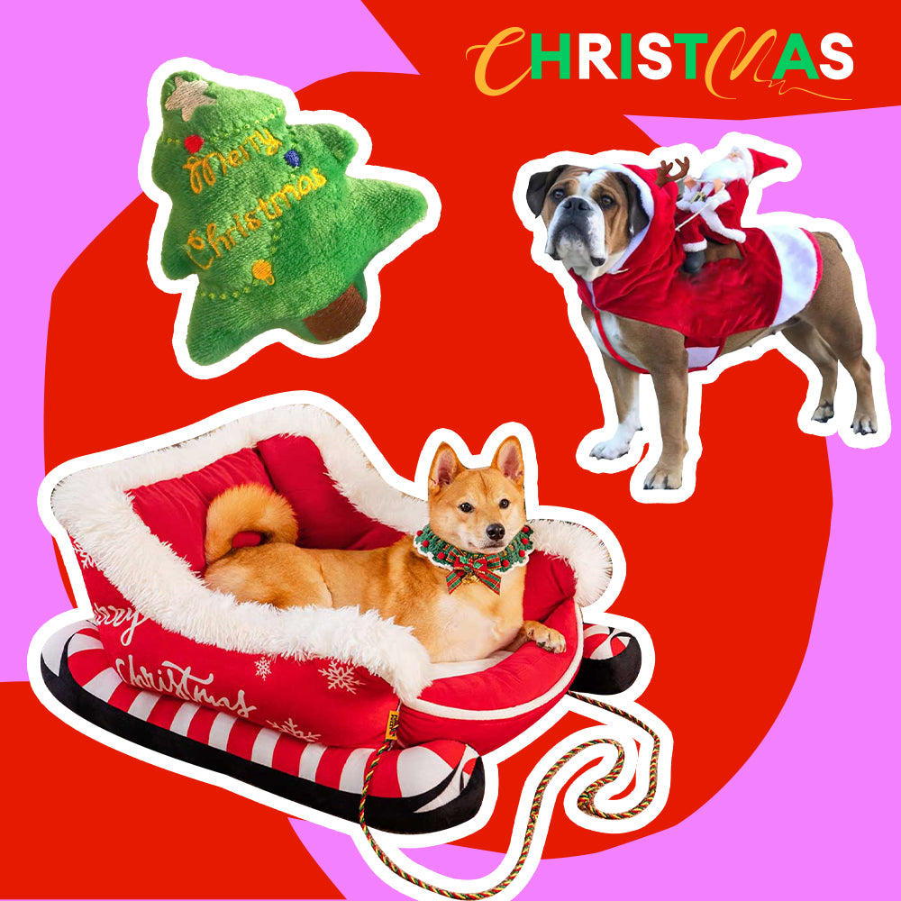 Paquete de Cama festiva y acogedora para perros: trineo navideño-3pzas