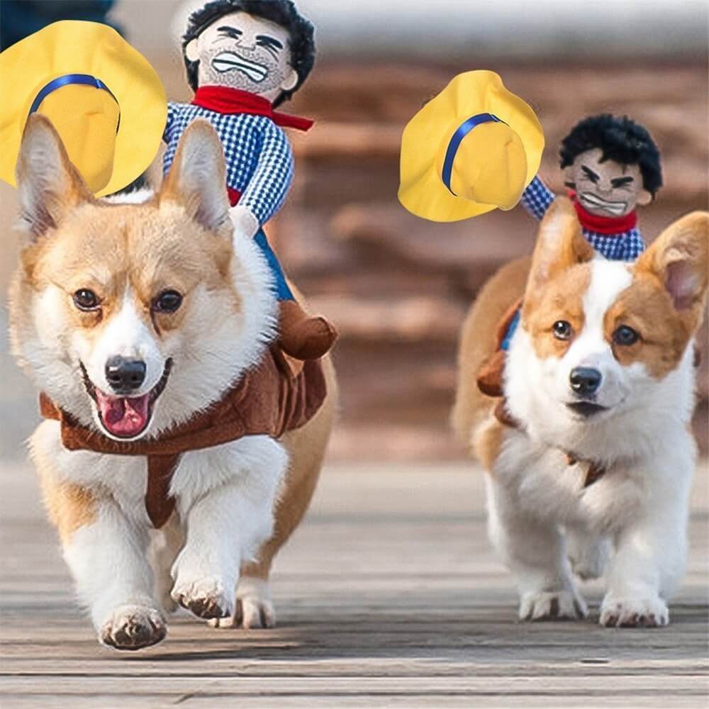 Disfraz de vaquero para perro: perfecto para un look divertido de Halloween