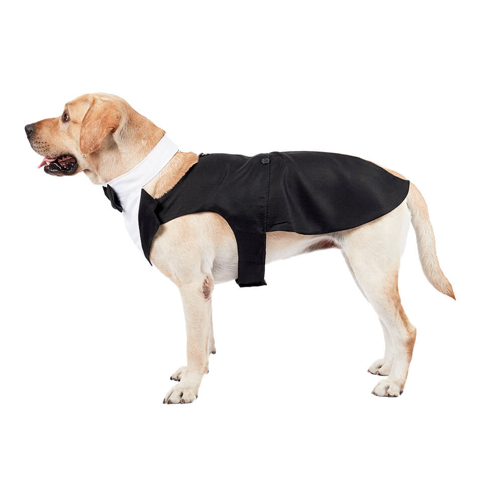 Ropa para perros y mascotas, vestido de traje con pajarita de boda