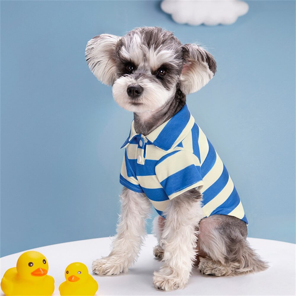 Camisa tipo polo a rayas para perros: estilo clásico para tu cachorro