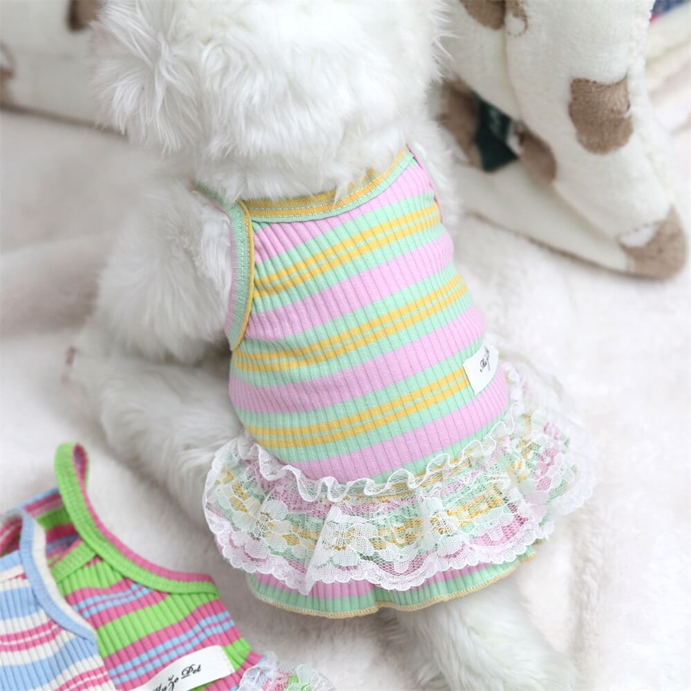 Primavera Verano Nuevo vestido halter con ribete de encaje Ropa para mascotas