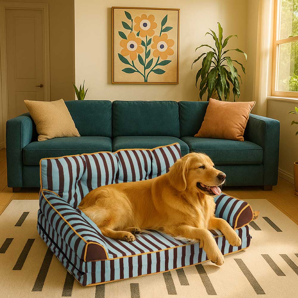 Cama de sofá de perros plegable de perros plegable impermeable de rayas - siesta soleada