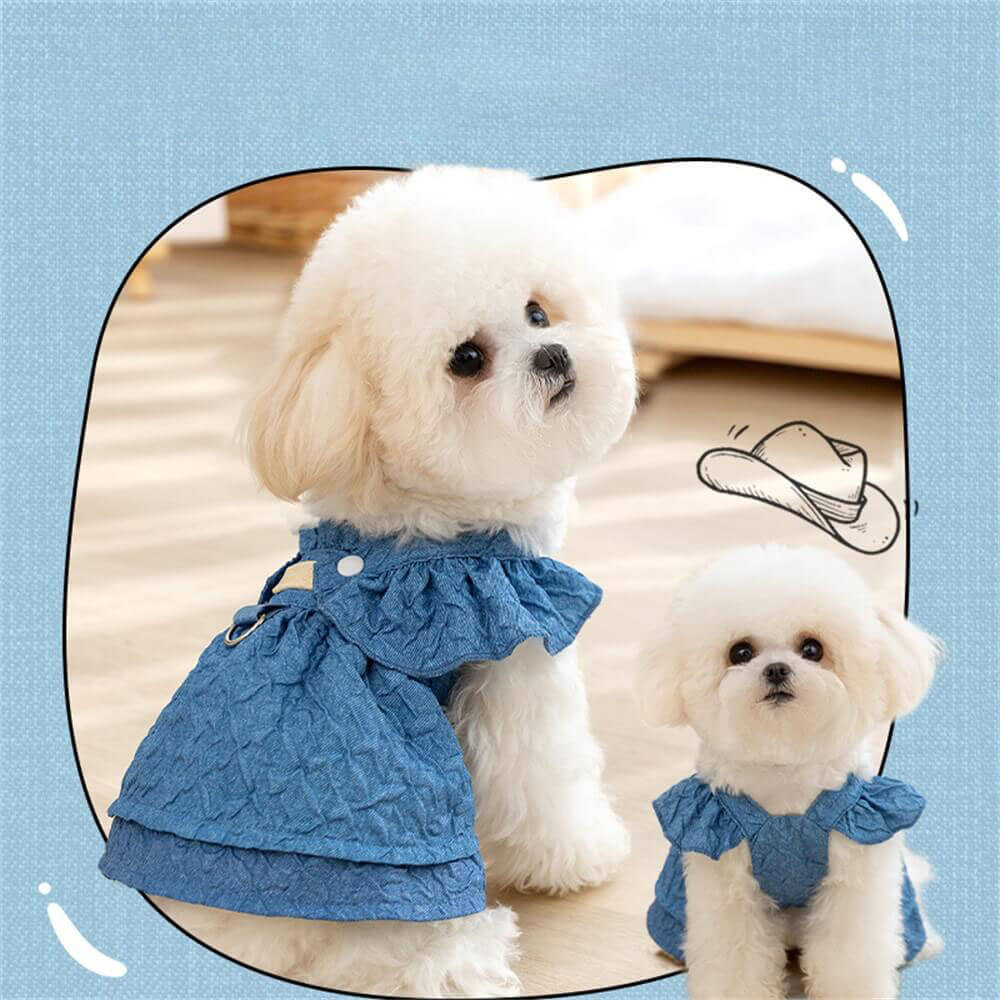 Vestidos tipo pechera de mezclilla para perros: atuendos adorables y elegantes para tu mascota