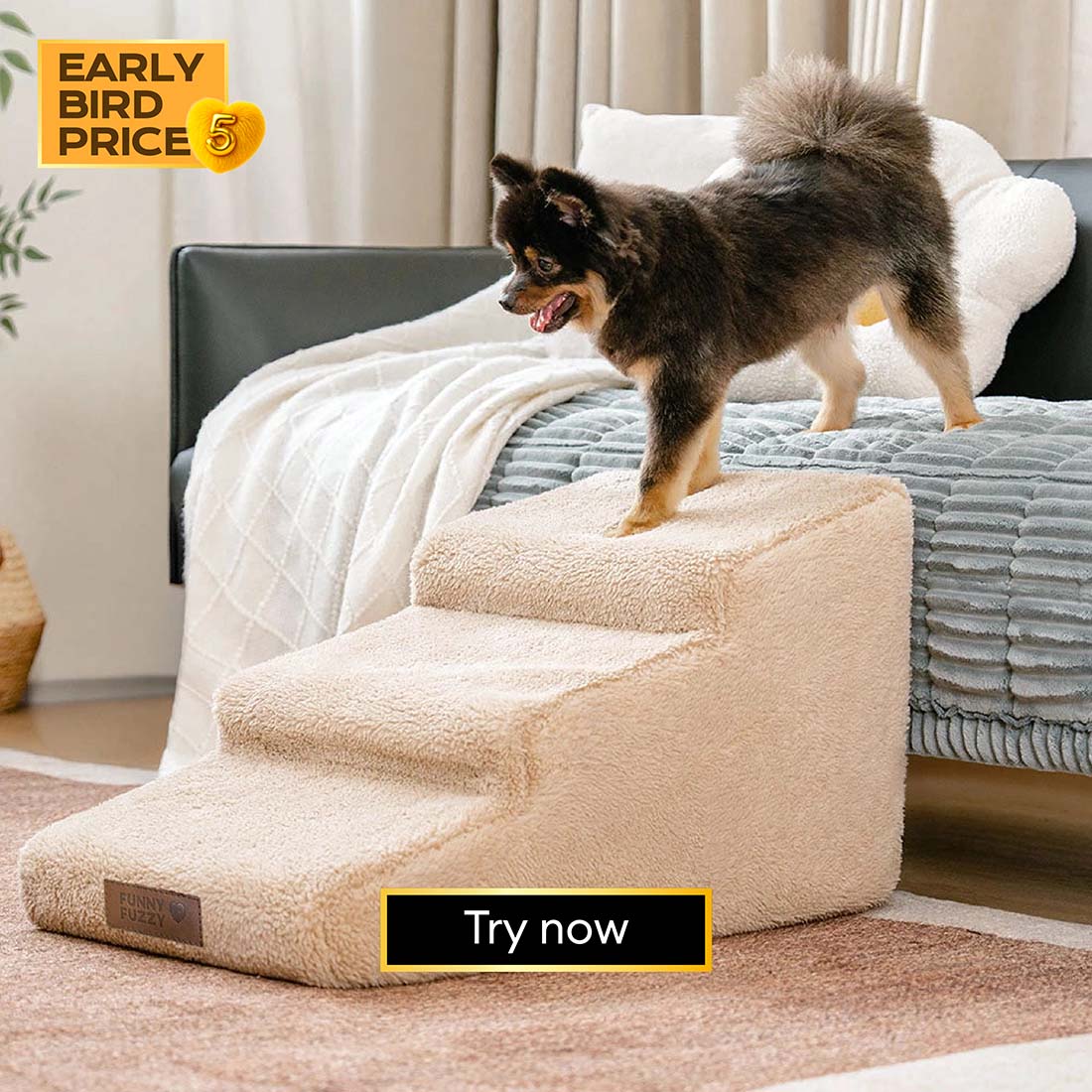 dog_stairs_new