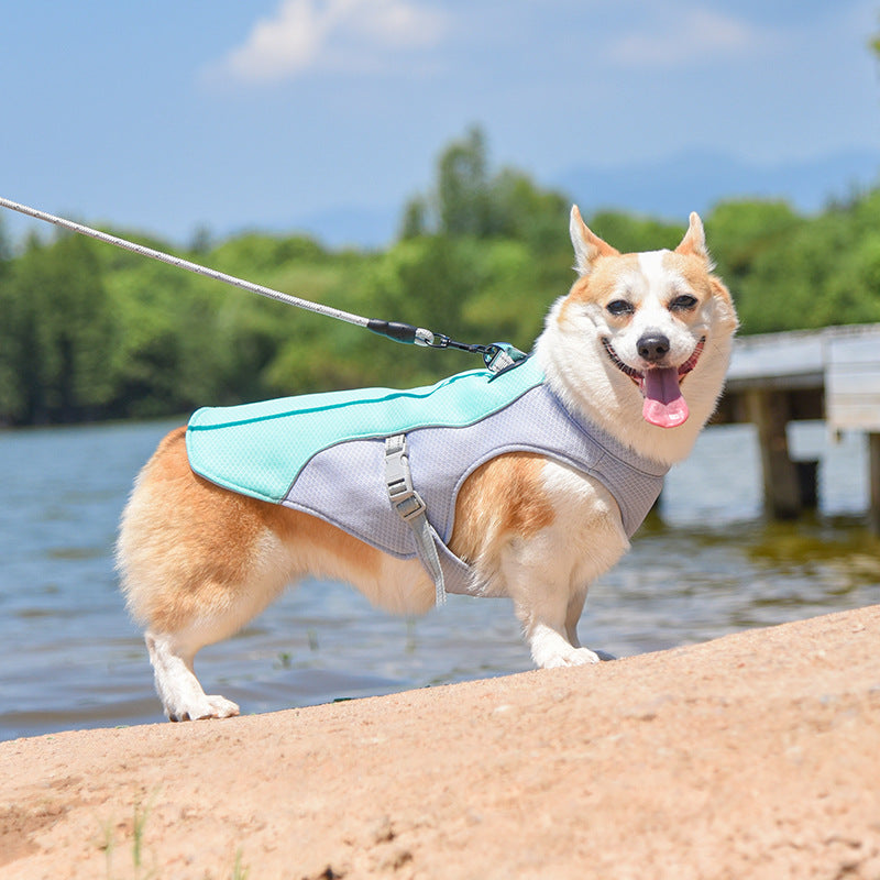 Chaleco transpirable para la prevención de insolaciones Chaleco de enfriamiento para perros empapado en agua