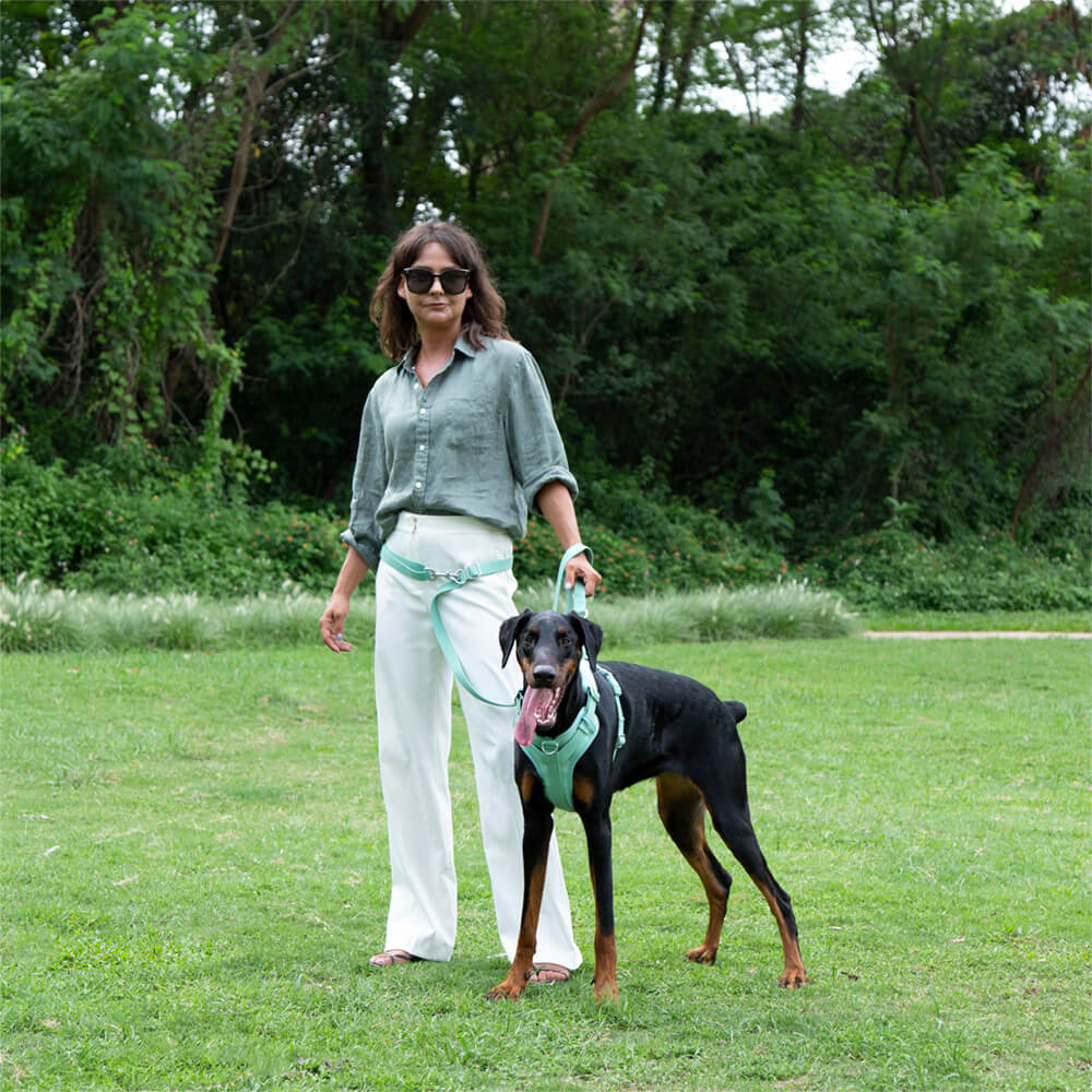 Correa para perros gomosos