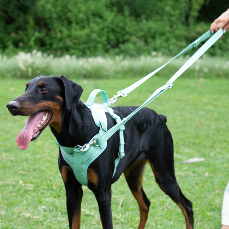 Arnés para perros Gummy