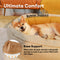Orthopädisches Hundebett Donut