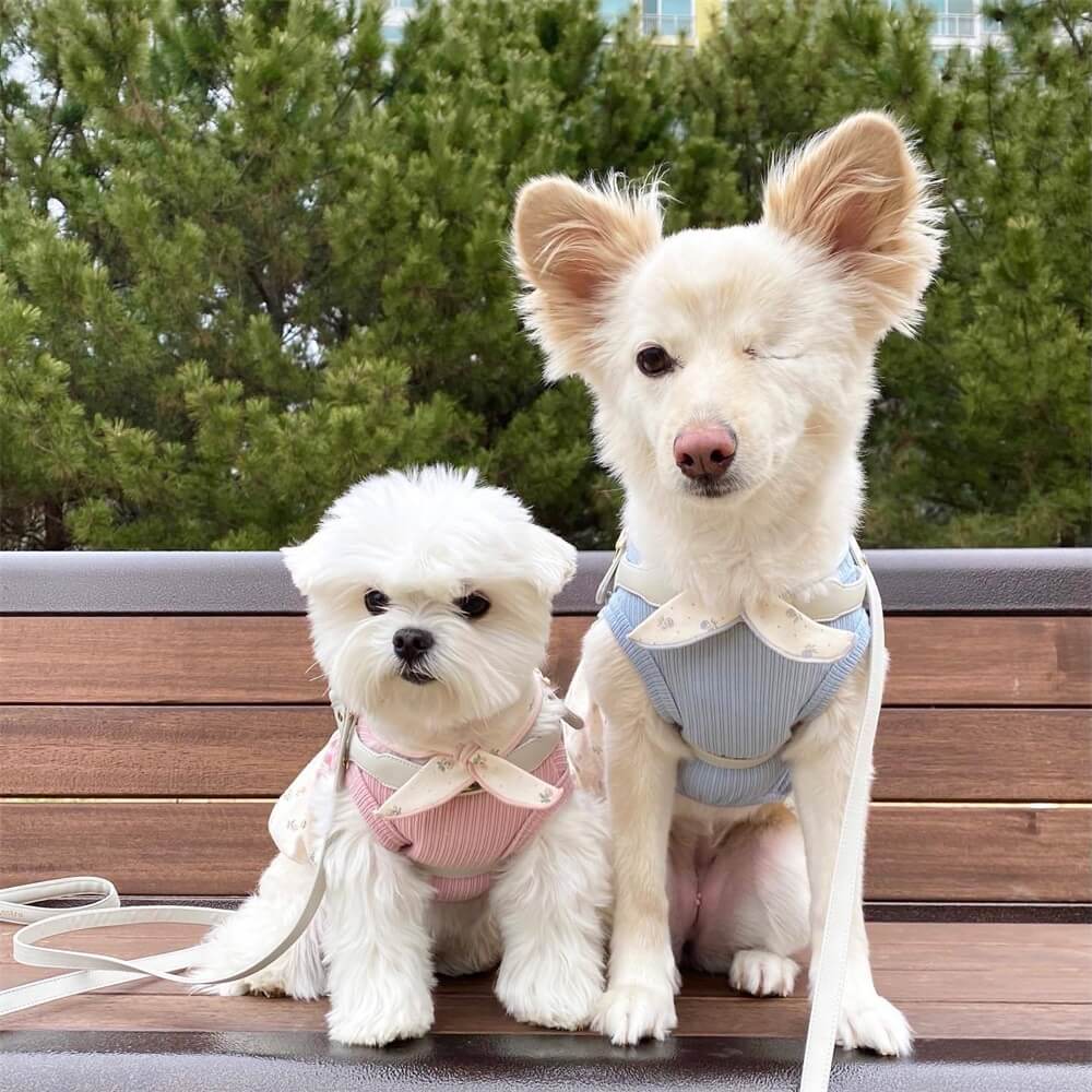 Elegante y lindo vestido floral para perro: perfecto para ocasiones especiales