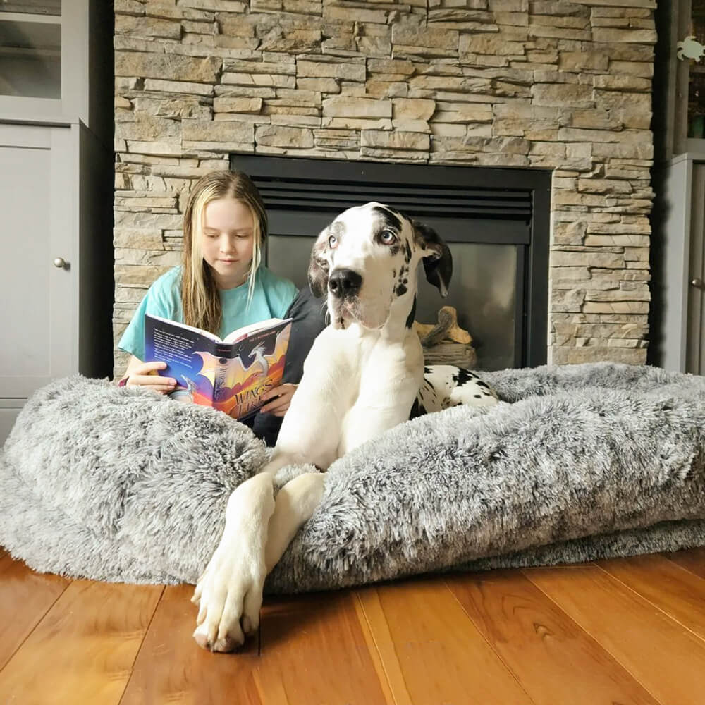 Cama ortopédica para perros en forma de dona