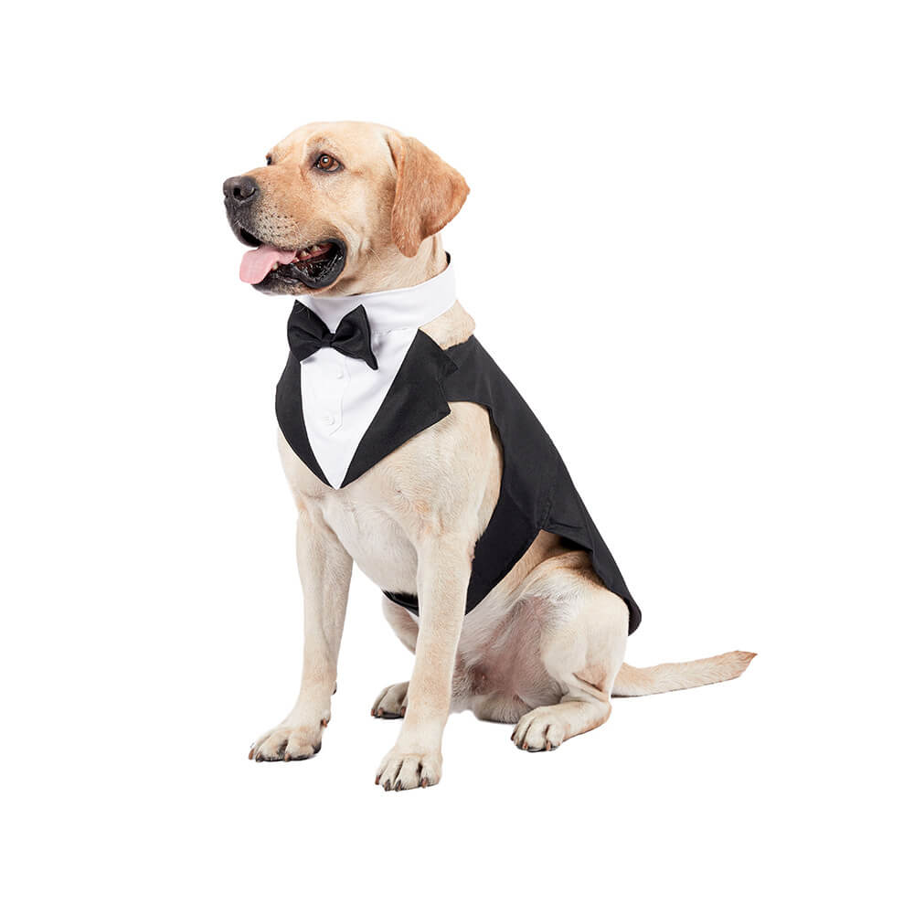 Ropa para perros y mascotas, vestido de traje con pajarita de boda