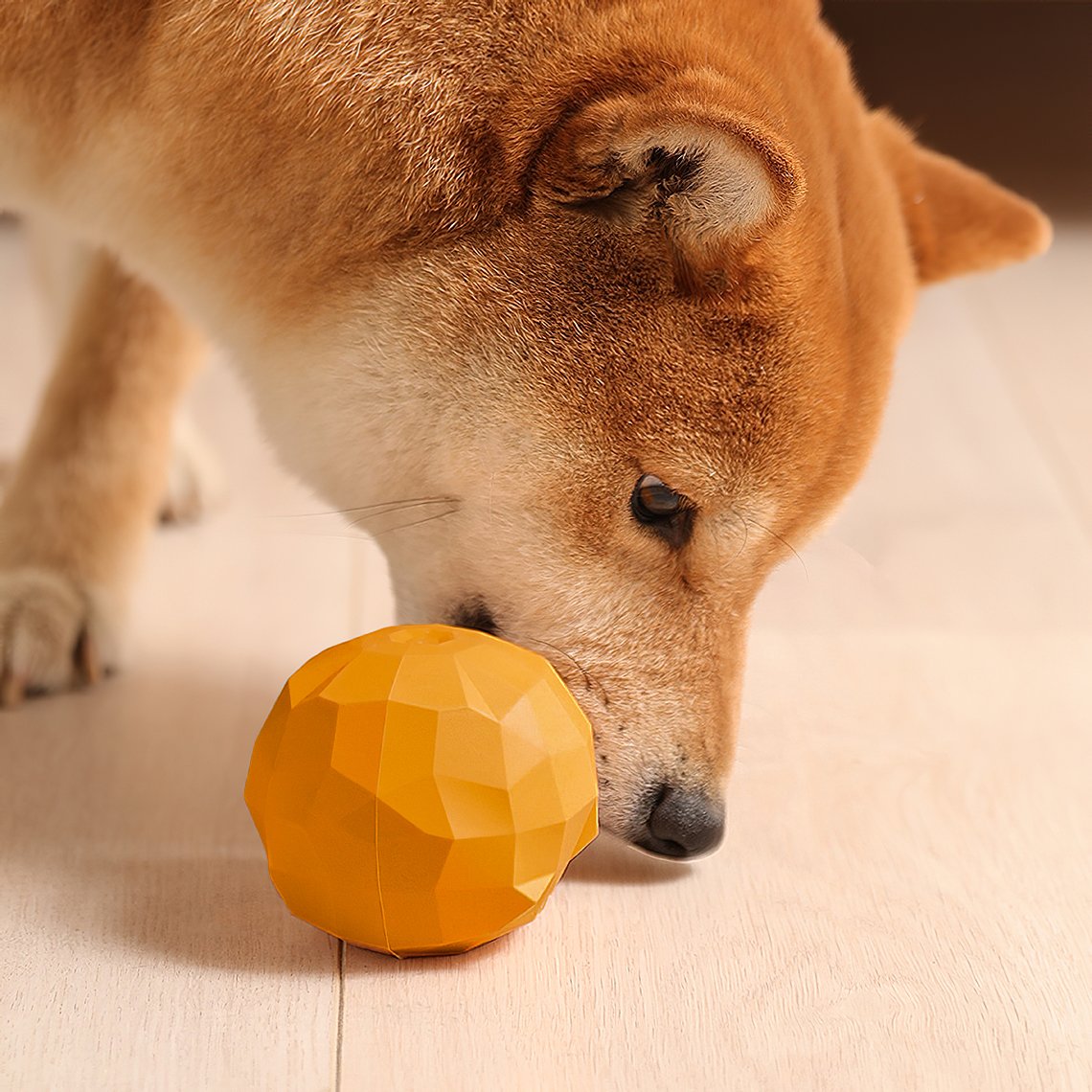 Fruit shaped chew toy that hides treats FunnyFuzzy 