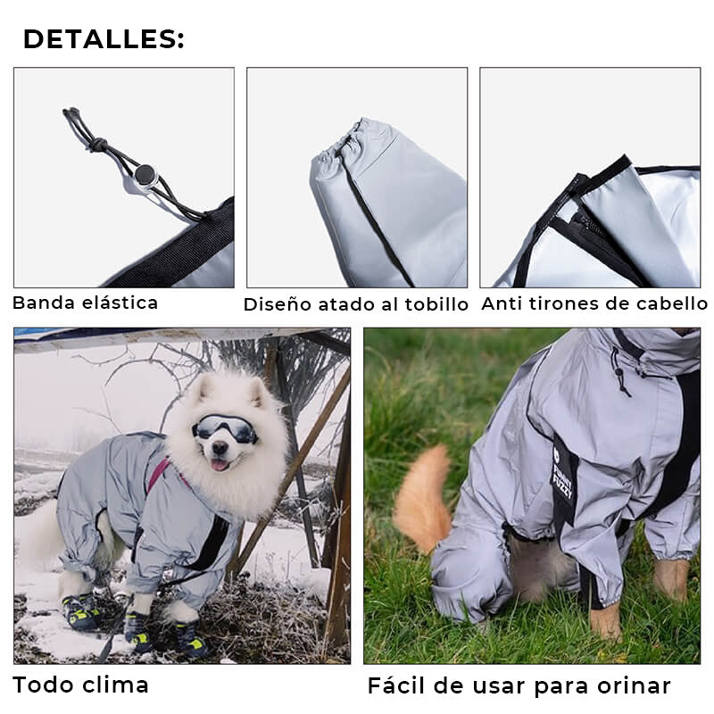 Impermeable Reflectante para Perros para Todo Clima