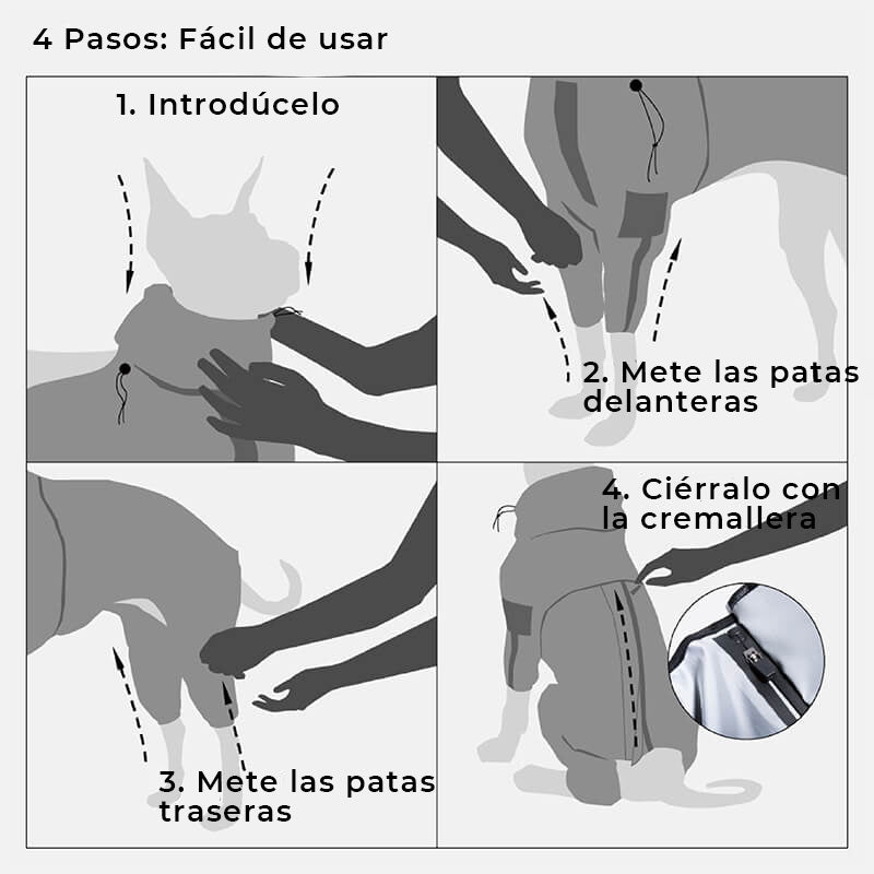 Impermeable Reflectante para Perros para Todo Clima