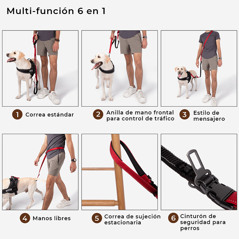 Impermeable Reflectante para Perros para Todo Clima