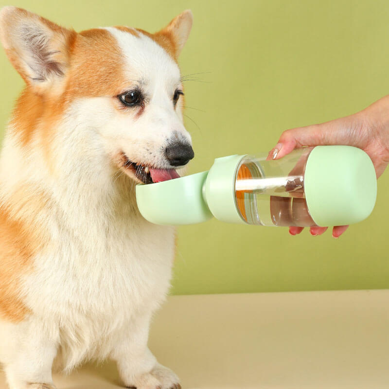 Botella portátil 2 en 1 de perros para viajes